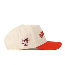 NR Falcons Upside Down Snapback Hat