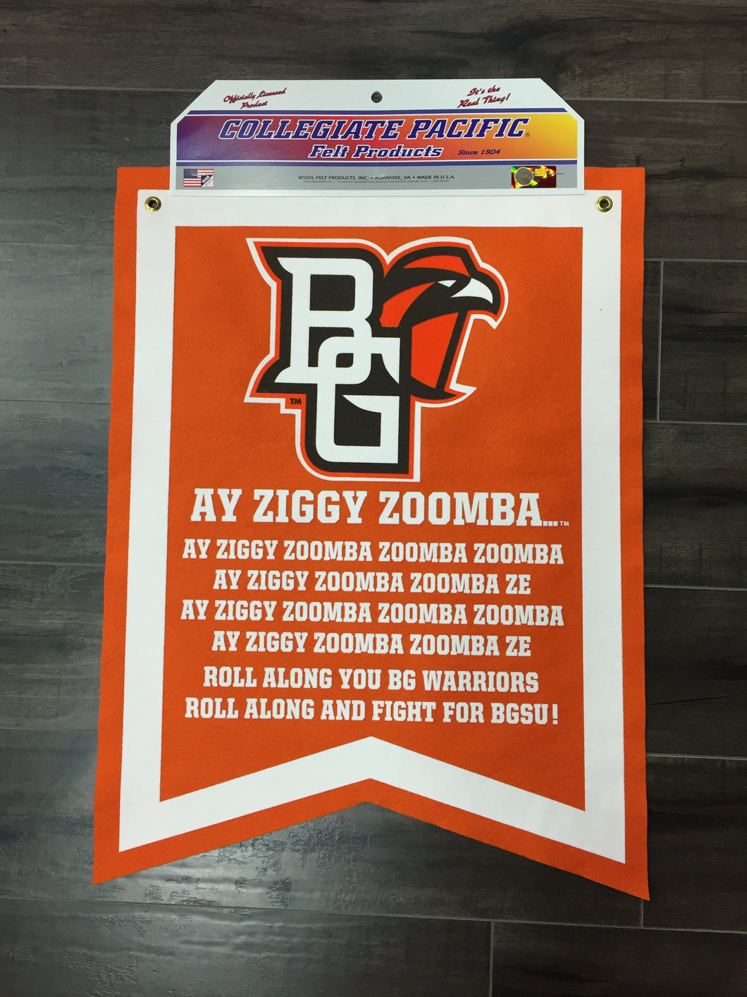 Ay Ziggy Zoomba 18X24